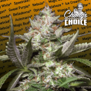 Paradise Seeds Auto Kong 4 (Автоцветущие феминизированные)